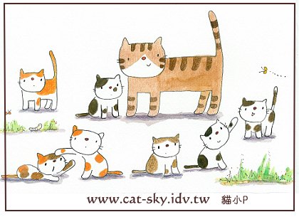 貓插畫-貓物語雜誌no.33
